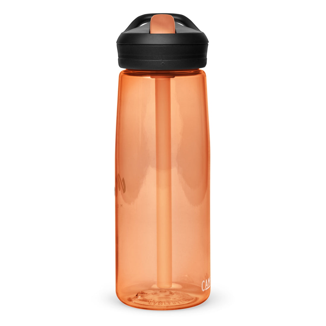 Mom Boss Sports water bottle